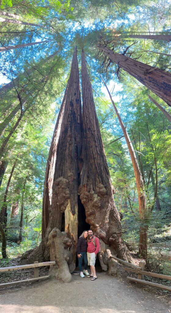 Muir Woods National Monument